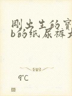 刚出生的宝宝nb的纸尿裤大概用多少片