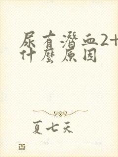 尿有潜血2+是什么原因