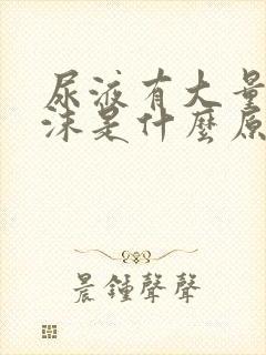 尿液有大量的泡沫是什么原因