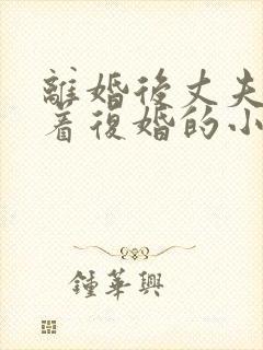 离婚后丈夫哭求着复婚的小说