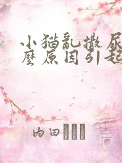 小猫乱撒尿是什么原因引起的