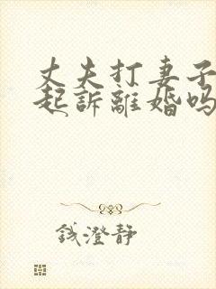 丈夫打妻子可以起诉离婚吗