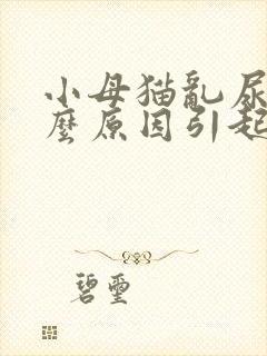 小母猫乱尿是什么原因引起的