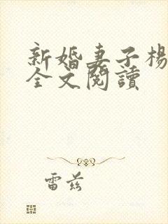 新婚妻子杨芷珊全文阅读