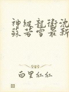 神级龙卫沈浪与苏若雪最新章节