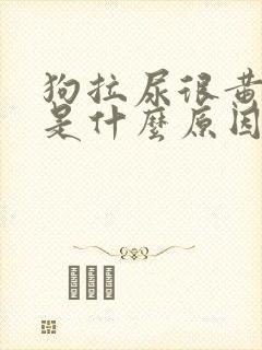 狗拉尿很黄很臭是什么原因