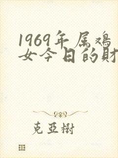 1969年属鸡女今日的财运如何