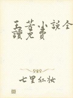 王芳小说全文阅读免费