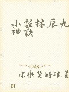 小说林辰九天斩神诀
