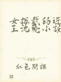 女总裁的近身兵王沈飞小说