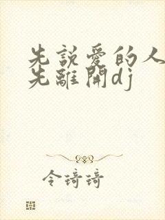 先说爱的人总是先离开dj