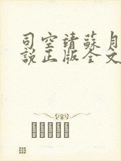 司空靖苏月汐小说正版全文免费阅读