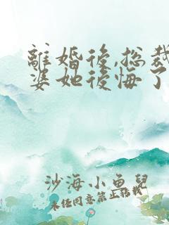 离婚后,总裁老婆她后悔了