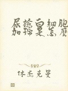 尿检白细胞3个加号是怎么回事