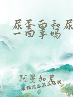 尿蛋白和尿酸是一回事吗