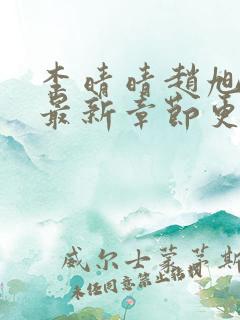 李晴晴赵旭小说最新章节更新更新时间