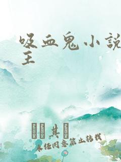 吸血鬼小说双男主