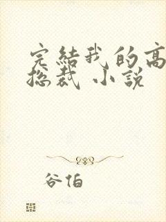 完结我的高冷女总裁 小说