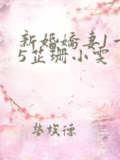 新婚娇妻1一25芷珊小雯