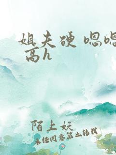 姐夫硬 嗯嗯啊 高h