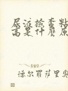 尿液检查粘液丝高是什么原因