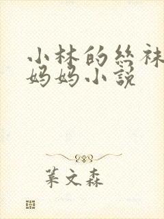 小林的丝袜美腿妈妈小说