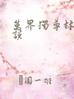 万界独尊林枫小说