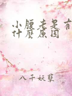 小腹老是有尿意什么原因