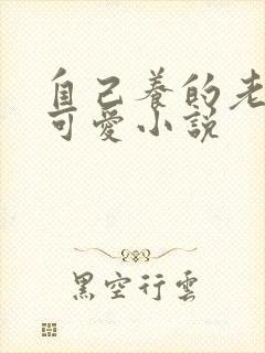 自己养的老婆最可爱小说