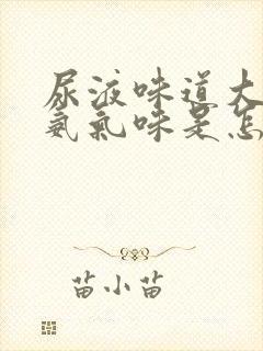 尿液味道大一股氨气味是怎么回事