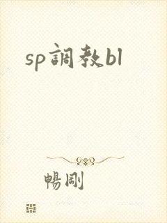sp调教bl