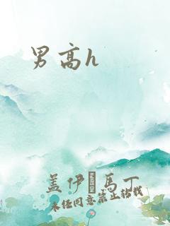 男高h