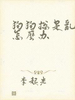 狗狗总是乱拉尿怎么办