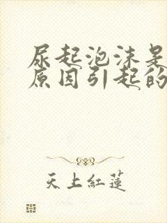 尿起泡沫是什么原因引起的