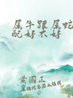 属牛跟属蛇的婚配好不好