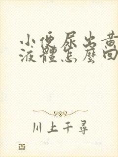 小便尿出黄粘稠液体怎么回事