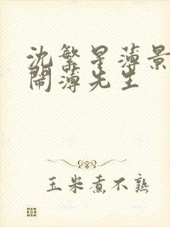 沈繁星薄景川别闹薄先生