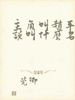 主角叫赵平的小说叫什么名字