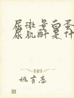 尿微量白蛋白/尿肌酐是什么意思