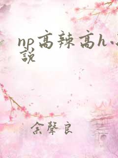 np高辣高h小说
