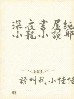 深夜书屋纯洁滴小龙小说哪里可以免费阅读