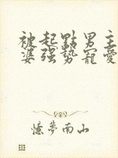 被起点男主的老婆强势宠爱的小说