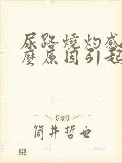 尿路烧灼感是什么原因引起的