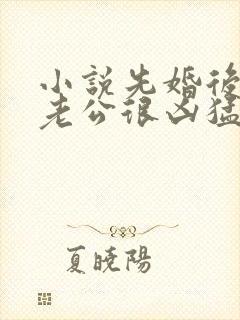 小说先婚后爱:老公很凶猛免费阅读