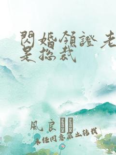 闪婚领证老公竟是总裁