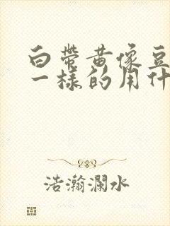 白带黄像豆腐渣一样的用什么药