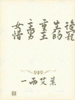 女主重生后悔珍惜男主的宠文