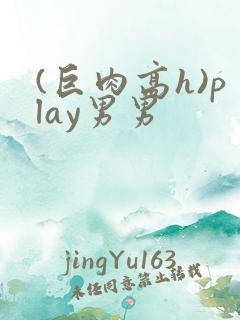 (巨肉高h)play男男