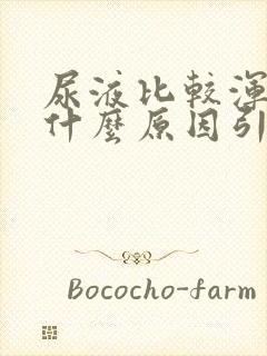 尿液比较浑浊是什么原因引起