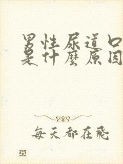 男性尿道口痒痒是什么原因引起的